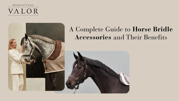 A Complete Guide to Horse Bridle Accessories and Their Benefits
