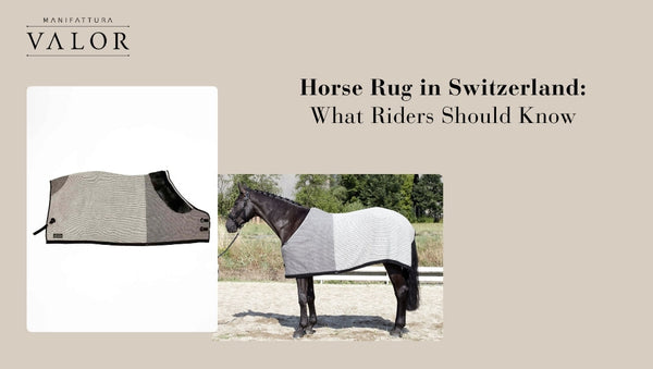 Horse Rug in Switzerland: What Riders Should Know