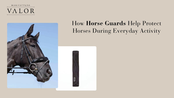 How Horse Guards Help Protect Horses During Everyday Activity