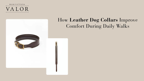 How Leather Dog Collars Improve Comfort During Daily Walks