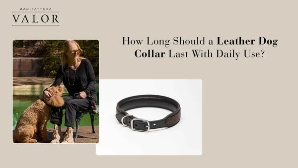 How Long Should a Leather Dog Collar Last With Daily Use?