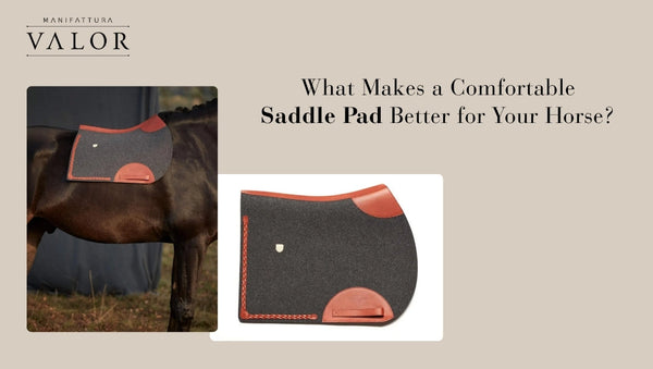 What Makes a Comfortable Saddle Pad Better for Your Horse?