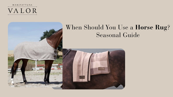 When Should You Use Horse Rugs? Seasonal Horse Rug Guide