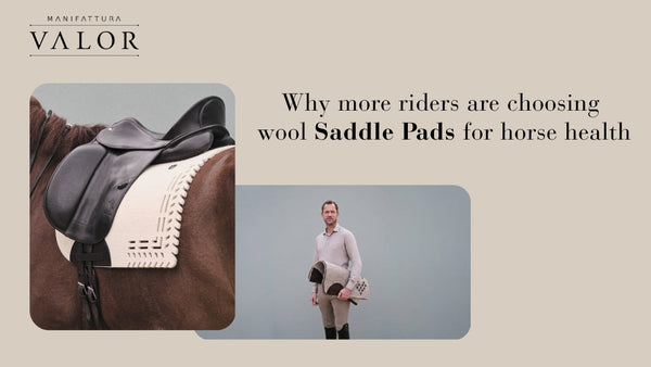 Why More Riders Are Choosing Wool Saddle Pads for Horse Health