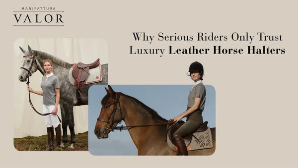 Why Serious Riders Only Trust Luxury Leather Horse Halters