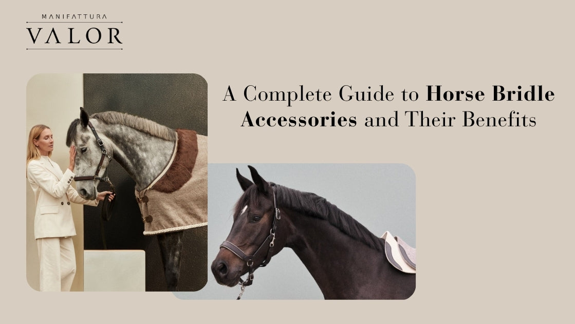A Complete Guide to Horse Bridle Accessories and Their Benefits