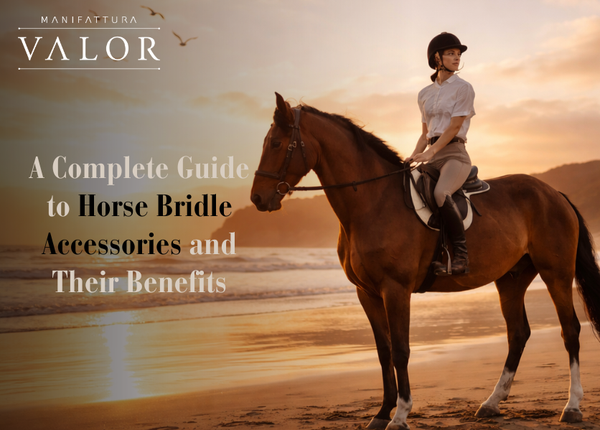A Complete Guide to Horse Bridle Accessories and Their Benefits