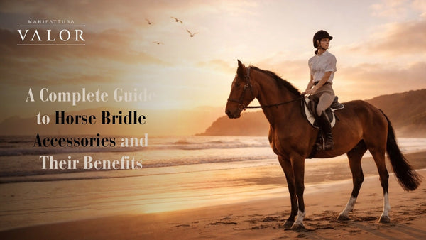 A Complete Guide to Horse Bridle Accessories and Their Benefits