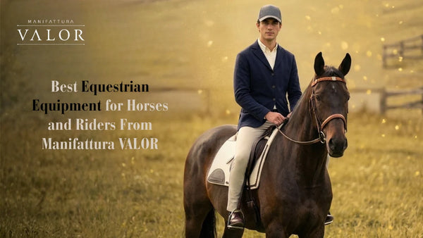 Best Equestrian Equipment for Horses and Riders From Manifattura VALOR