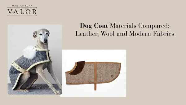 Dog Coat Materials Compared: Leather, Wool and Modern Fabrics