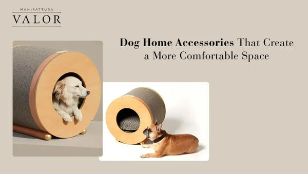 Dog Home Accessories That Create a More Comfortable Space