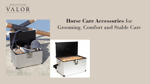 Horse Care Accessories for Grooming, Comfort and Stable Care