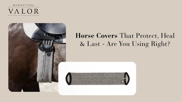 Horse Covers That Protect, Heal & Last - Are You Using Right?