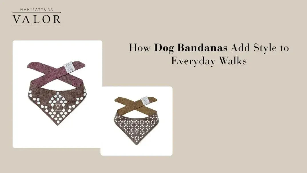 How Dog Bandanas Add Style to Everyday Walks