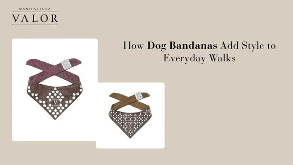 How Dog Bandanas Add Style to Everyday Walks