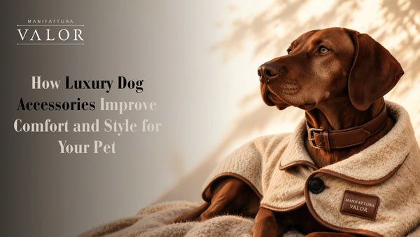 How Luxury Dog Accessories Improve Comfort and Style for Your Pet