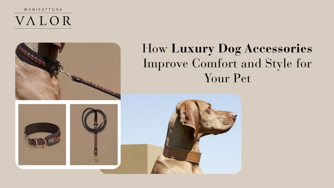 How Luxury Dog Accessories Improve Comfort and Style for Your Pet