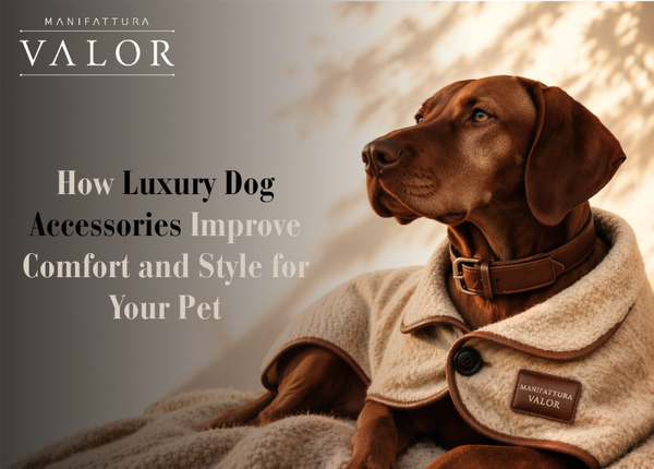 How Luxury Dog Accessories Improve Comfort and Style for Your Pet