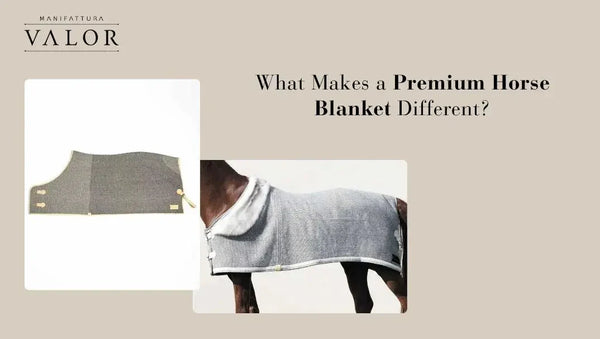 What Makes a Premium Horse Blanket Different?