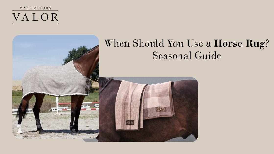 When Should You Use Horse Rugs? Seasonal Horse Rug Guide