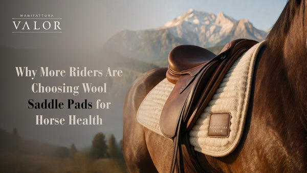 Why More Riders Are Choosing Wool Saddle Pads for Horse Health