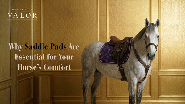 Why Saddle Pads Are Essential for Your Horse’s Comfort