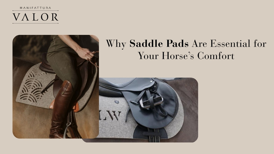 Why Saddle Pads Are Essential for Your Horse’s Comfort