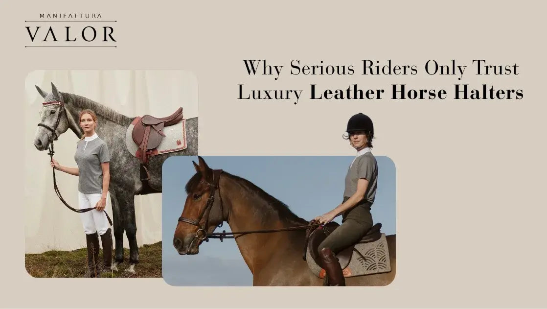 Why Serious Riders Only Trust Luxury Leather Horse Halters