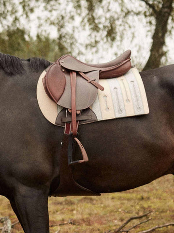 A side-profile of a dark horse wearing a brown leather English saddle and a vertically striped grey and tan felt saddle pad.