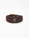 A wide dark brown nubuck leather dog collar from Manifattura VALOR featuring a gold-embossed V shield logo patch and polished brass hardware rivets.