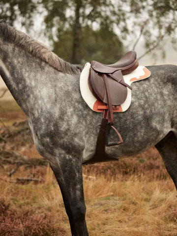 horse saddle pad
