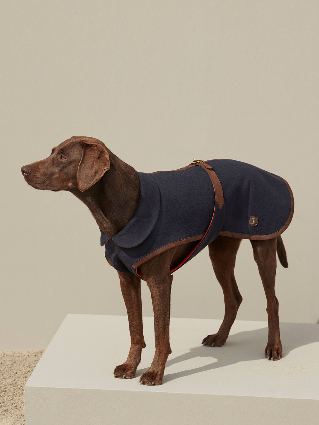 luxury cashmere dog coat