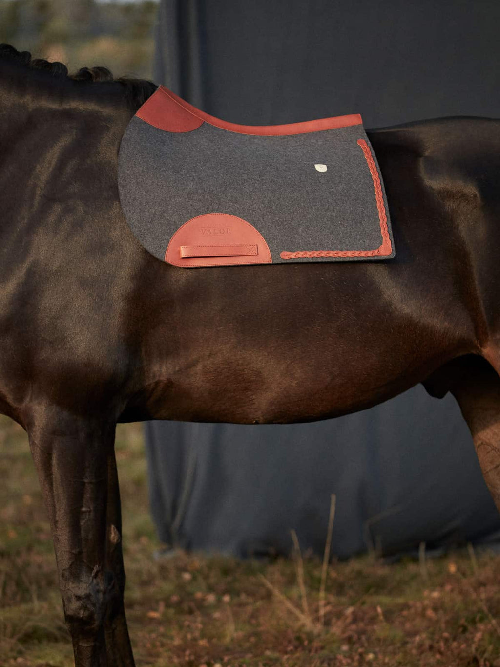 A dark bay horse wearing a charcoal grey wool felt saddle pad accented with tan leather and a hand-braided trim.