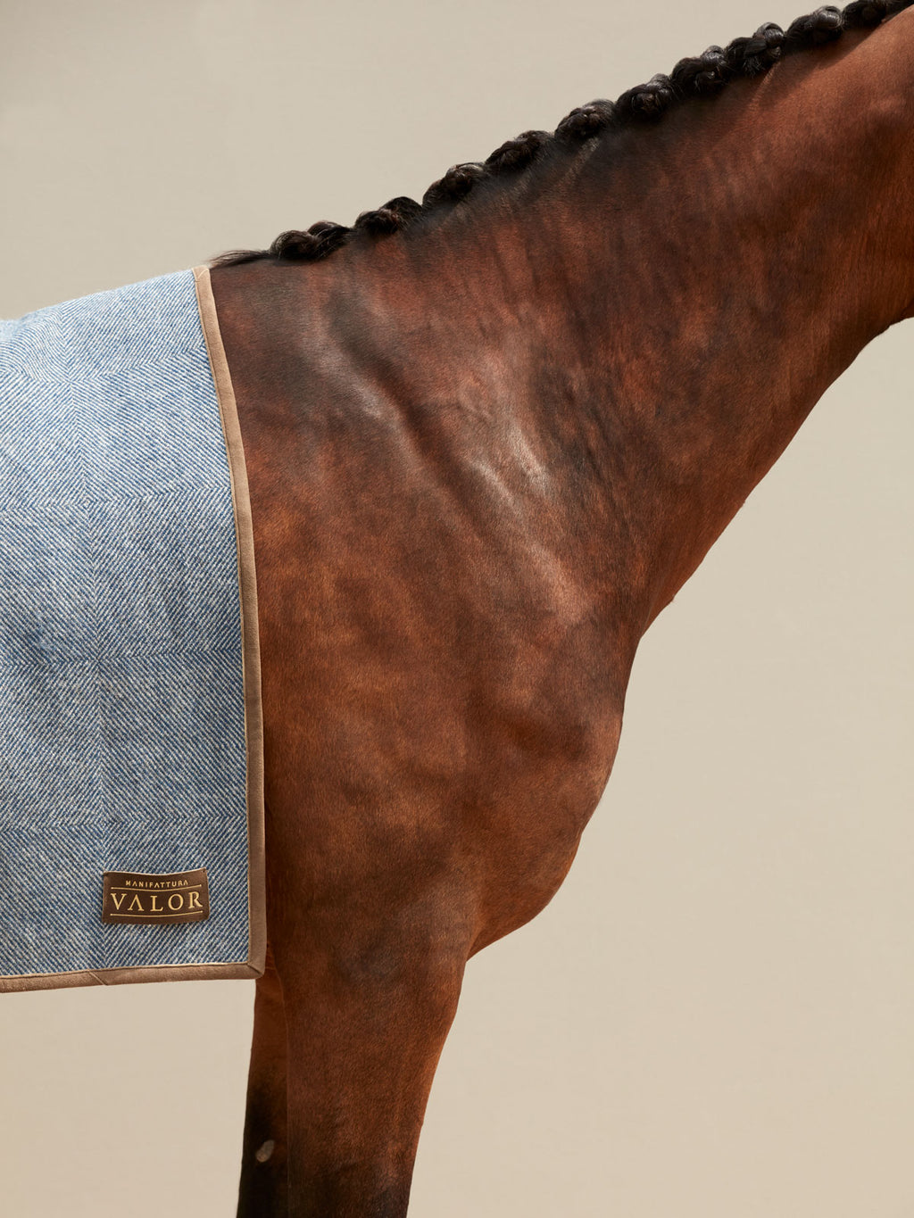 A bay horse with a braided mane wearing a light blue patterned wool blanket with tan suede trim and a leather logo.
