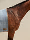 A bay horse with a braided mane wearing a light blue patterned wool blanket with tan suede trim and a leather logo.
