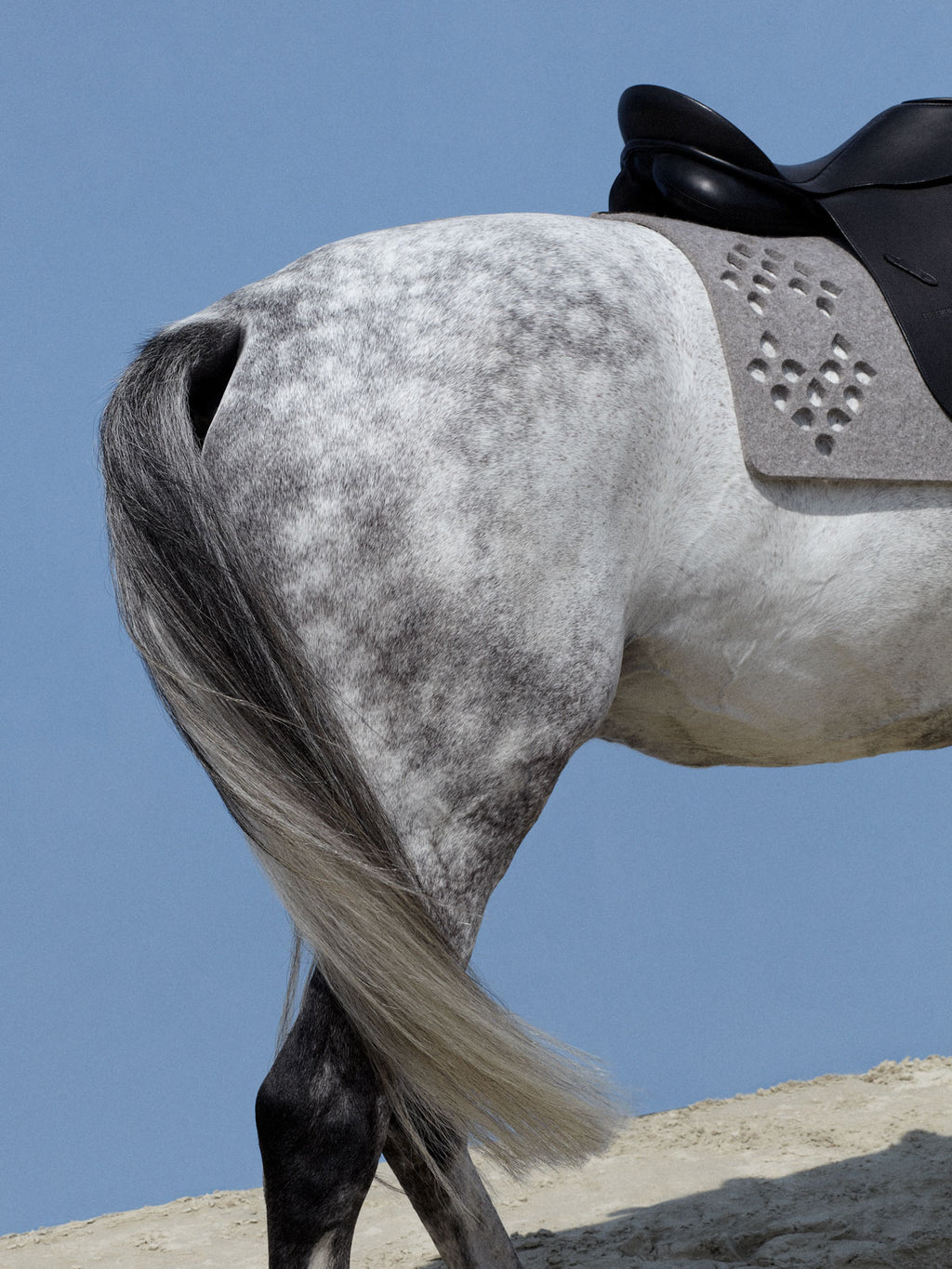 Soft silvergrey dressage pad with cognac leather accents, WOLKENSTEIN design without straps