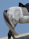 Soft silvergrey dressage pad with cognac leather accents, WOLKENSTEIN design without straps