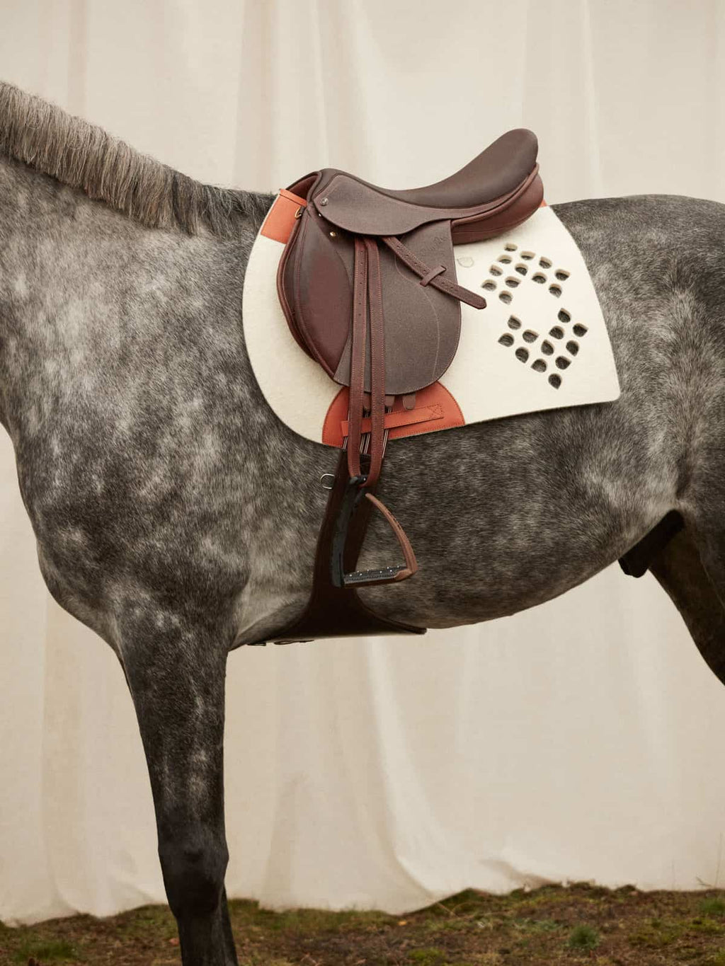 Dapple gray horse wearing a cream wool felt saddle pad with orange leather trim and a decorative cutout pattern by Manifattura Valor.