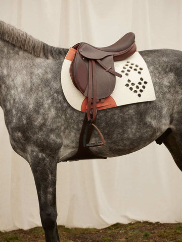 High-performance wool felt horse saddle pad with leather accents and ventilation holes for riding comfort.